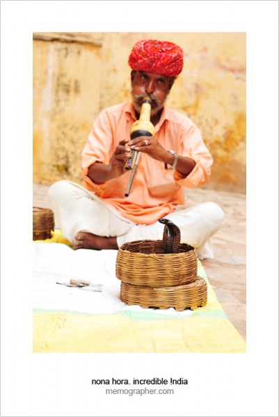 Snake Charmer. Jaipur, Rajasthan, India