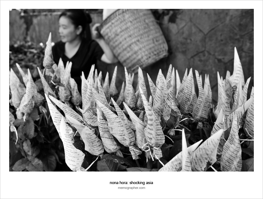 Vietnamese Woman Selling Roses on Market in Sapa Vietnam