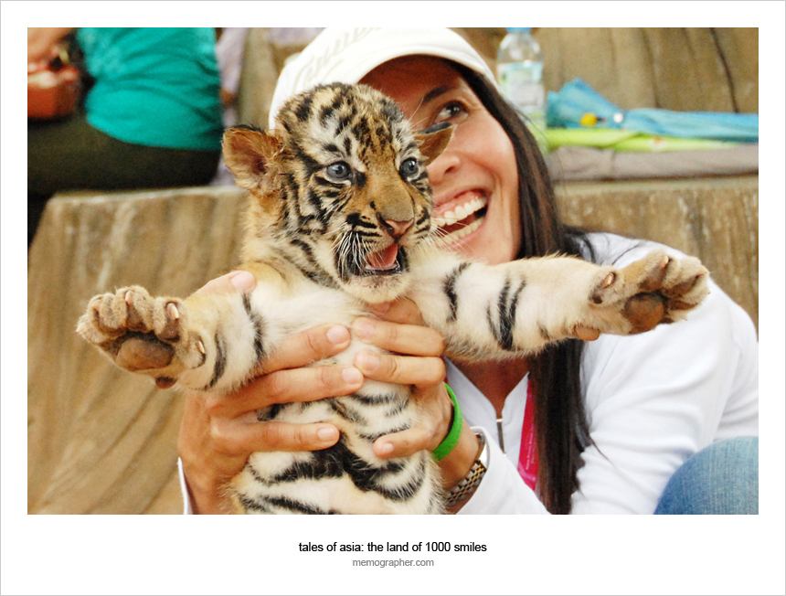 Thai Girl and Tiger Cub. Tiger Temple, Thailand
