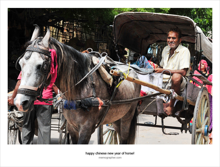 Happy Chinese New Year of Horse! from Jodhpur, India