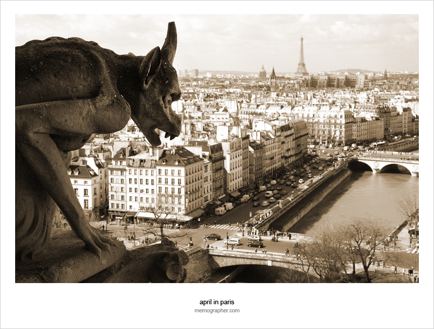 The Gargoyles of Notre Dame de Paris