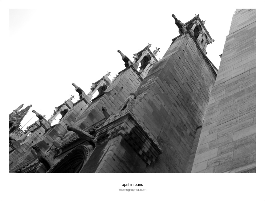 The Gothic Gargoyles of Notre Dame de Paris