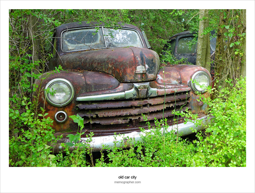 Once a Beauty, Now a Beast. Rusty Vintage Cars and Trucks